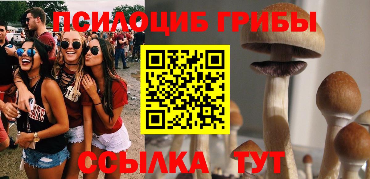 Бутурлиновка  Псилоцибиновые грибы MAGIC MUSHROOMS  Вход с VPN 